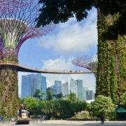 4A2EC45B-4C25-468D-AD4E-D1EDE209ED45_1_201_a