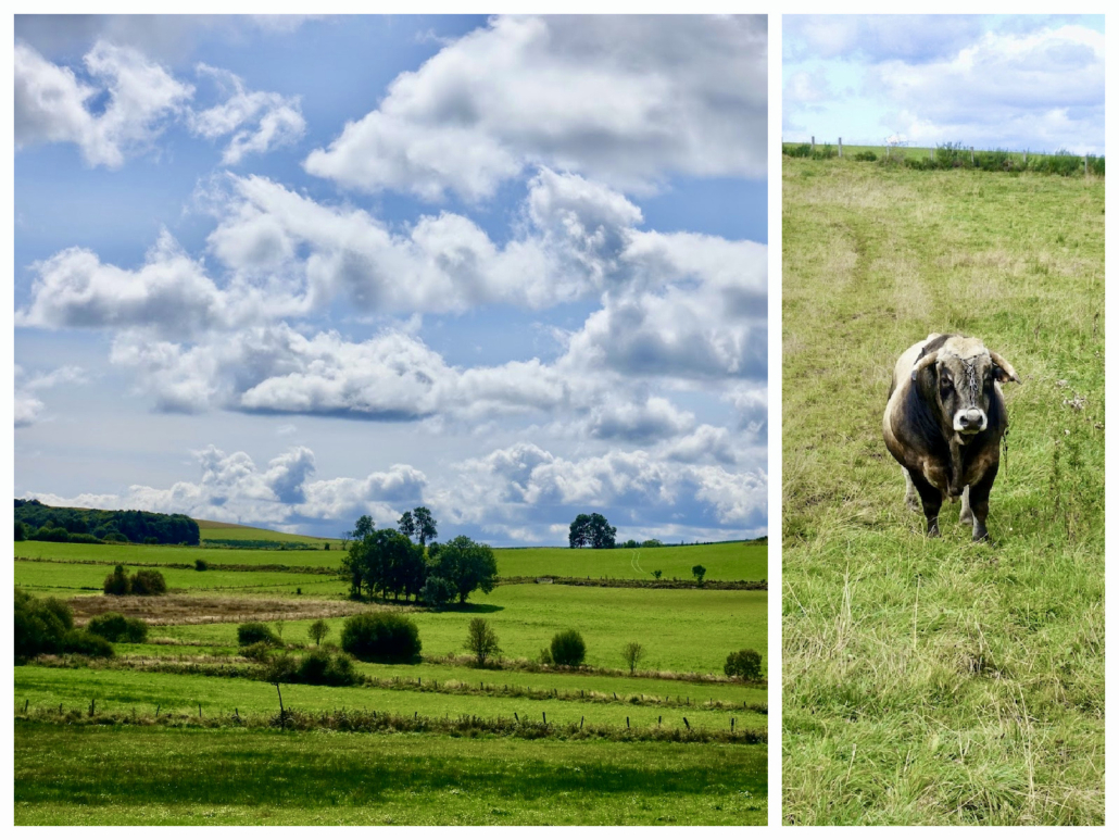 Cantal/France Cantal/France